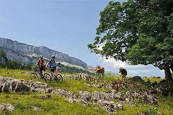 Alpenhotel - Ein Rovell Szálloda