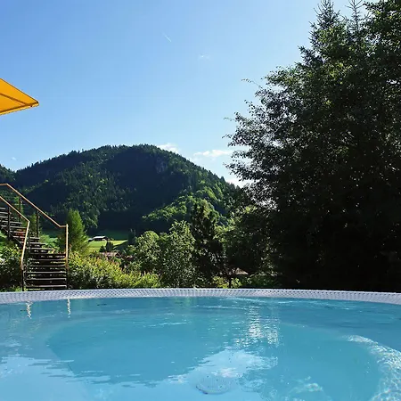 Alpenhotel - Ein Rovell 4* オーベルストドルフ