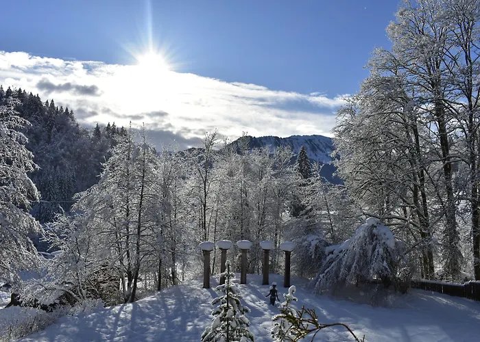 Alpenhotel - Ein Rovell فندق اوبرستدورف