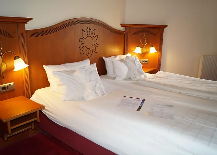 Alpenhotel - Ein Rovell فندق 4*